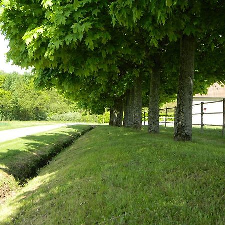 Le Bout Du Monde Bed & Breakfast Villedieu-sur-Indre Dış mekan fotoğraf