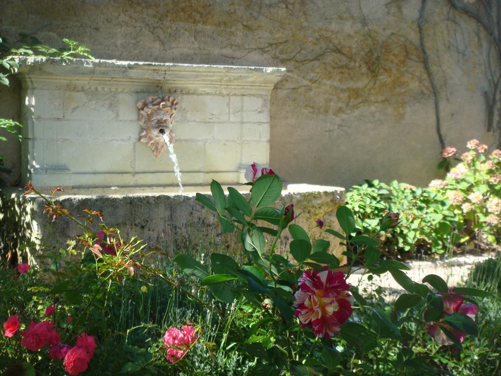 Le Bout Du Monde Bed & Breakfast Villedieu-sur-Indre Dış mekan fotoğraf